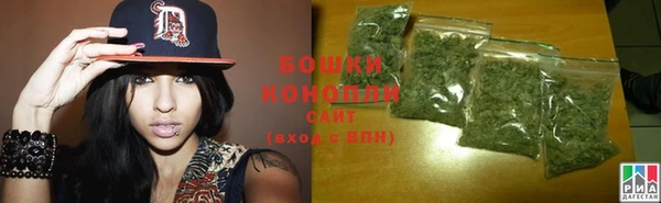 крисы Наволоки