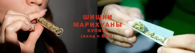 крисы Наволоки