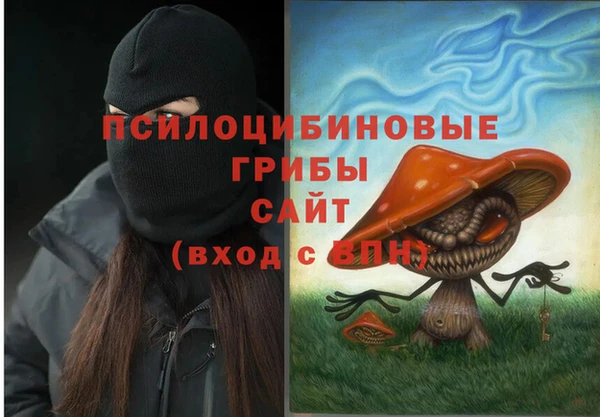 тгк Бронницы