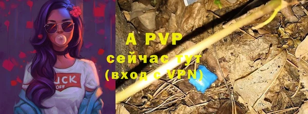 молекула духа Навашино