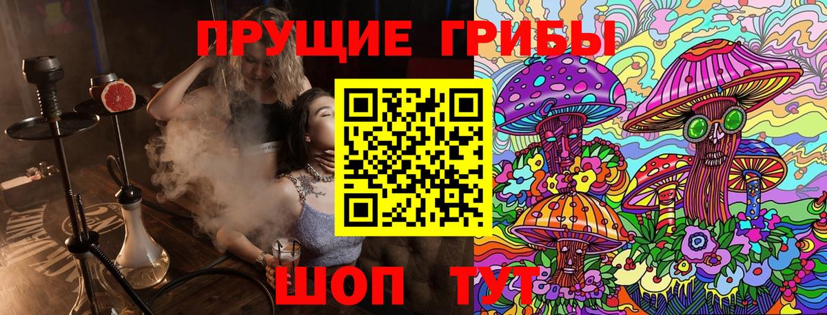 Галлюциногенные грибы Psilocybe  Псилоцибиновые грибы Cubensis  Кизляр 