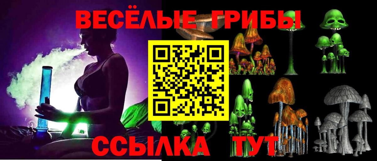 Псилоцибиновые грибы Cubensis Кизляр