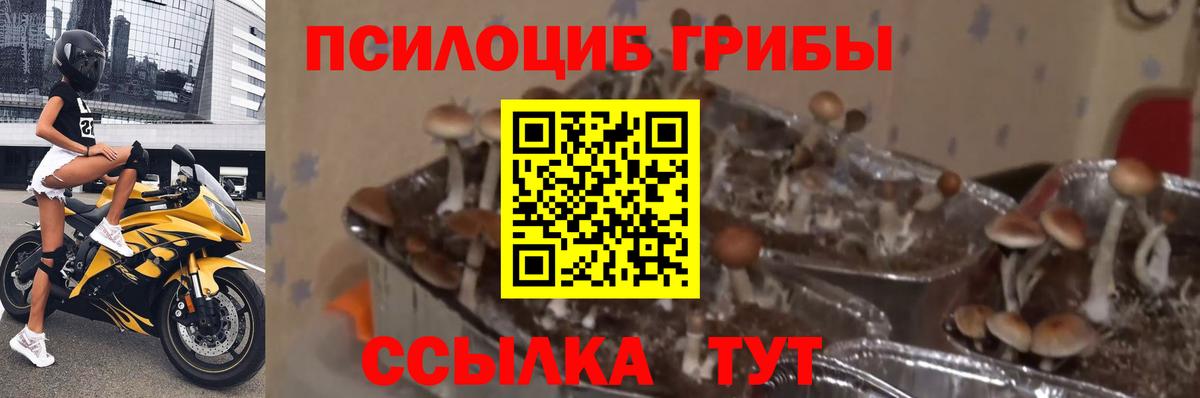Галлюциногенные грибы ЛСД Кизляр