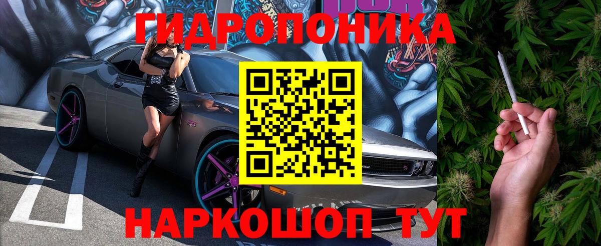 Кизляр  Бошки марихуана тримм  Вход с VPN  Конопля MAZAR  Конопля сатива 